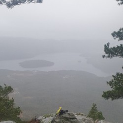 Heinakken