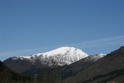 Varden