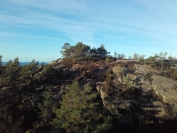 Hodnavarden