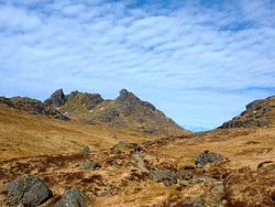 The Cobbler 