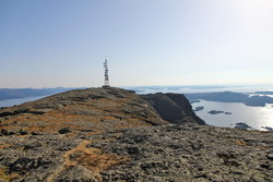 Ulvegreina