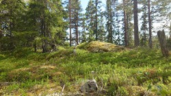 Kluftehovda
