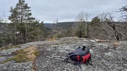 Bytekollen