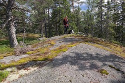 Køyvingen