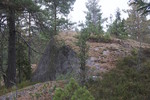 Kamphaugknatten