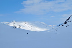 Tordseggje