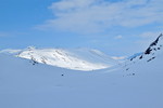 Tordseggje