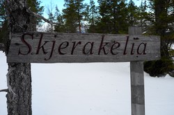 Skjerakelia