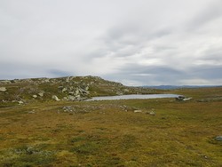 Oledalsbrynane
