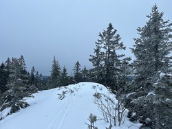 Høgåsen Vest