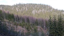 Østre Yglekletten
