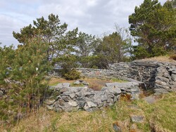 Julneset
