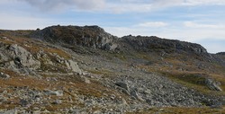 Møsaryggene