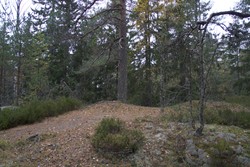 Lindebergåsen Nordvest