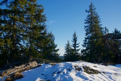 Råkollen