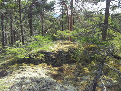 Nephølskampen