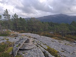 Svartetjønnhaugane