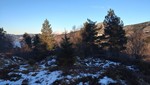 Røsslandsåsen