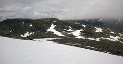 Skarbottsnosi