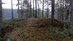 Bakkåsen