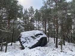Døldaråsen