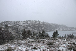 Raudenausane