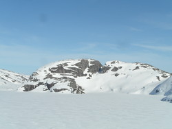 Leitesknuten