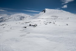 Steinkollen
