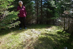 Melstveitåsen