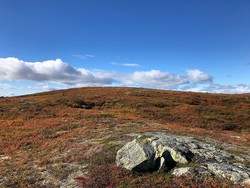 Fiskebufjellet sør