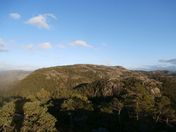 Krossnesheia
