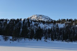 Svisketoppen