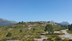 Høghaugen
