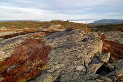 Gaulsnatten