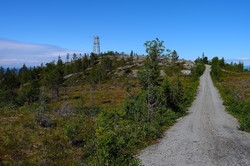 Våttån