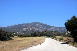 Vouni