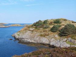 Halsøyhaugen