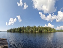 Sauøya
