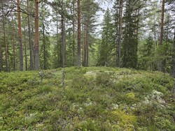Pukkverkshaugen