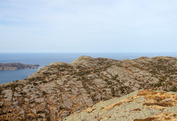 Hellelinipa