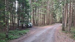 Fjellberg p-lomme