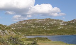 Blomtjønneggin