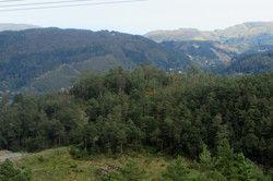 Hovåsen