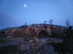 Skjenanuten