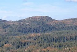 Storsteinnatten
