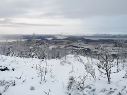 Bykleivåsen