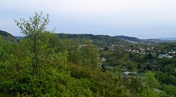 Tårnnebben