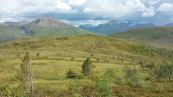 Ellingholnakken