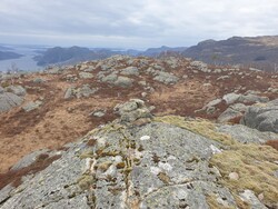 Storebønipen