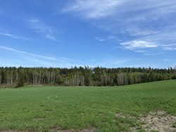 Mossabacken